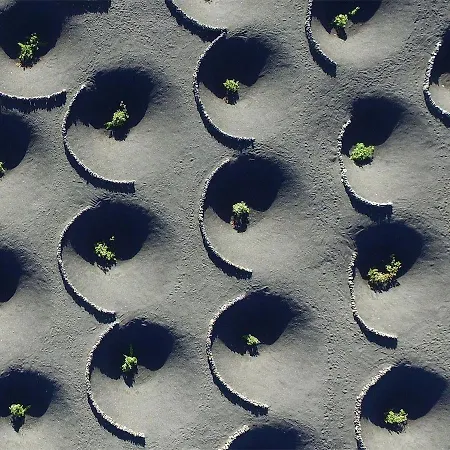 Casa Evan El Charco 招待所 3*