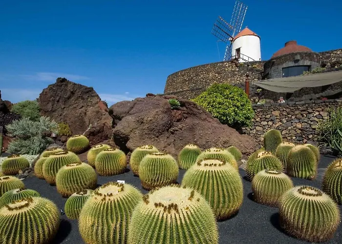 Casa Evan El Charco 招待所